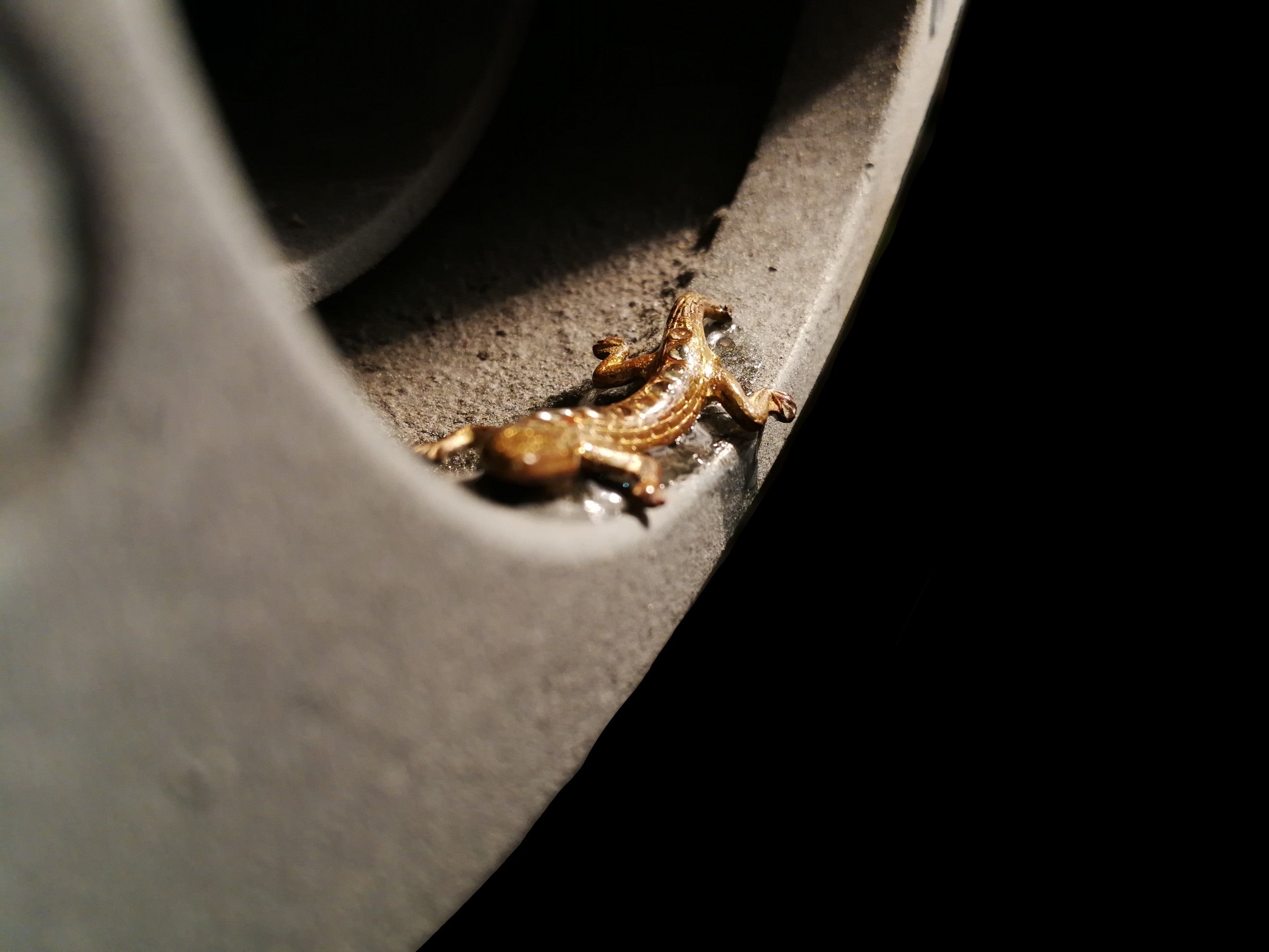 Robyn Cimeccanica Milano film projector light close up view of gecko detail by Stadl Art